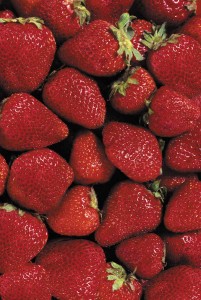Santa Maria grown Strawberries