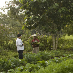 Organic Garden Ka'ana Resort