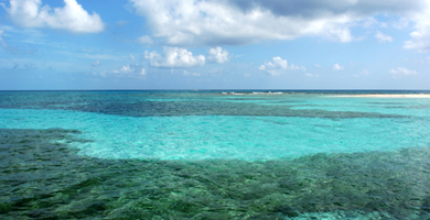 Ambergris Caye Belize