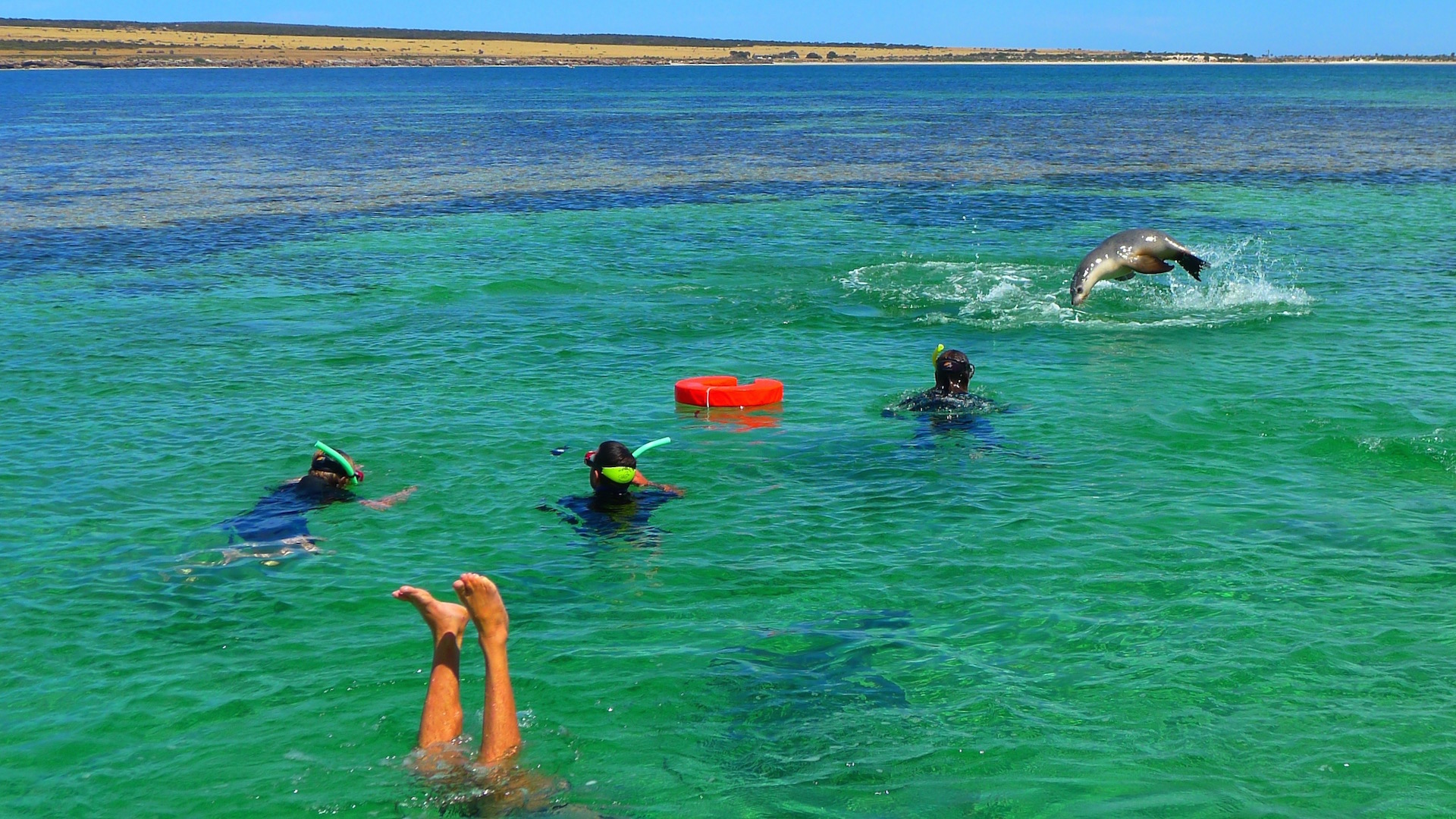 Eyre Peninsula, SA