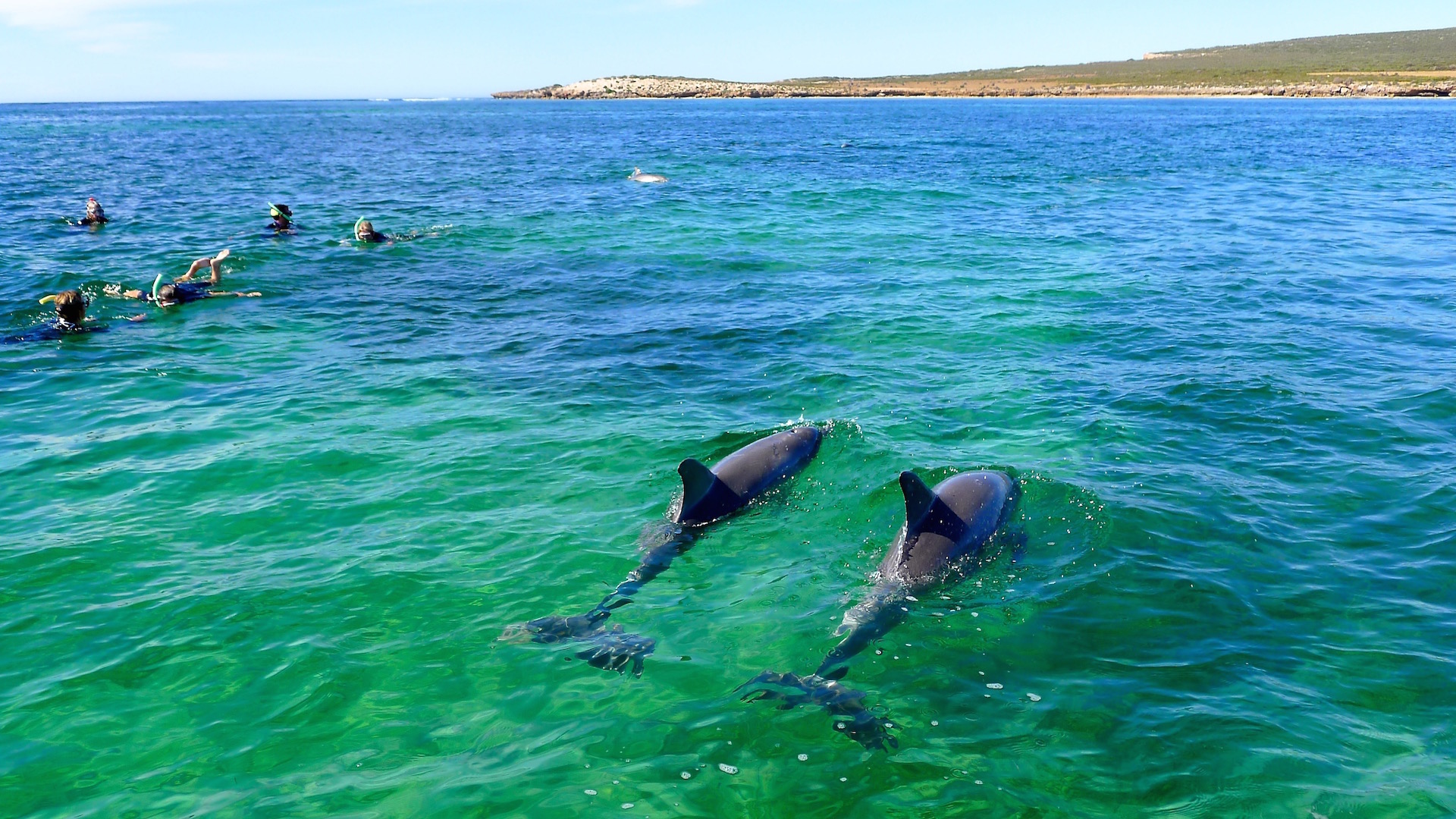 Eyre Peninsula, SA