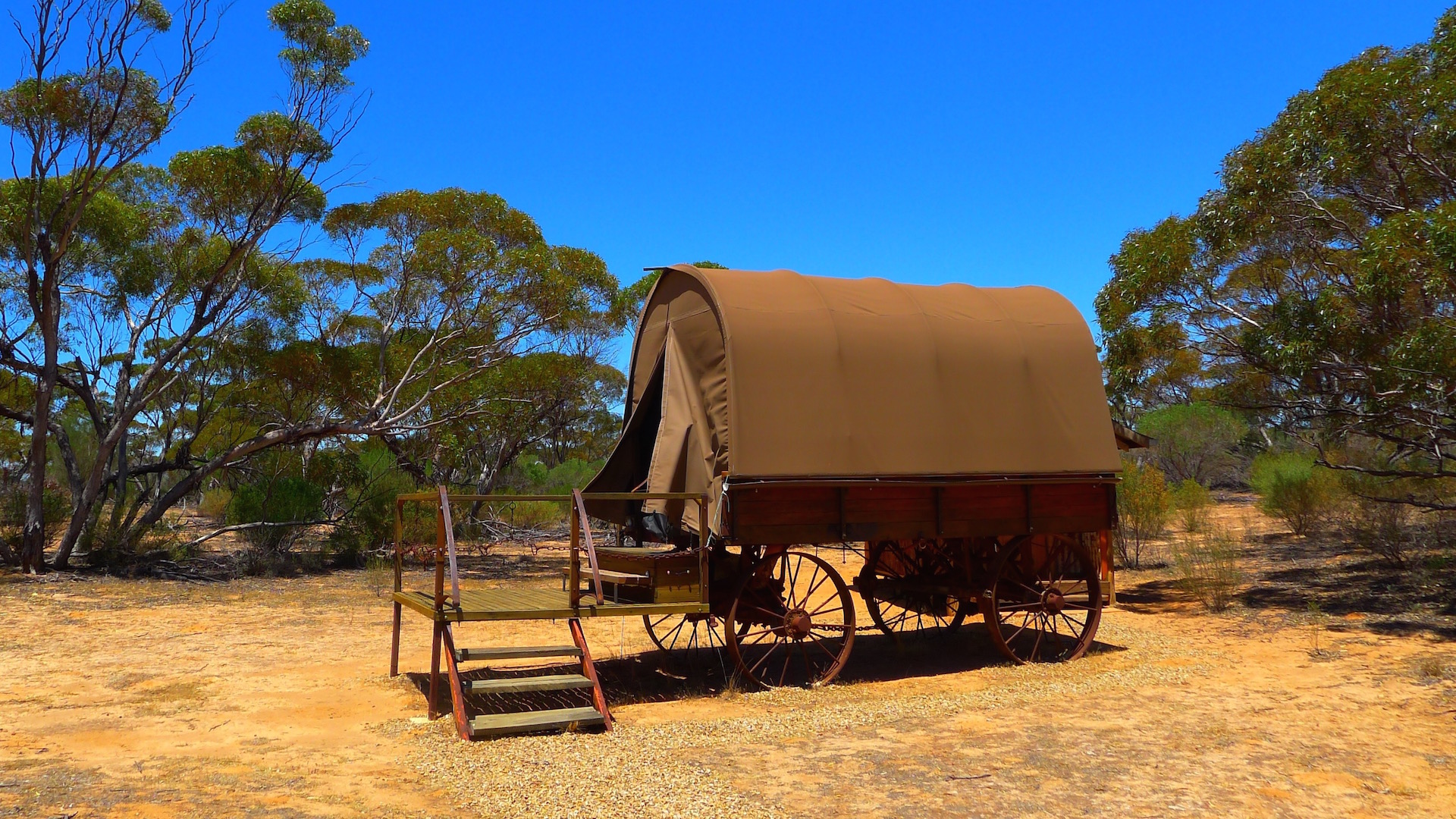 Swagon at Kangaluna Camp, SA 