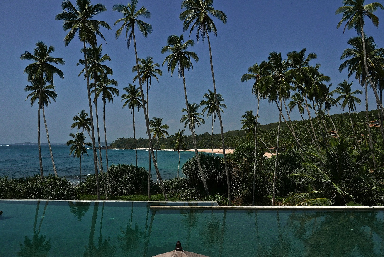 SL 4 Amangella Amangella | Photo: Michael Webb